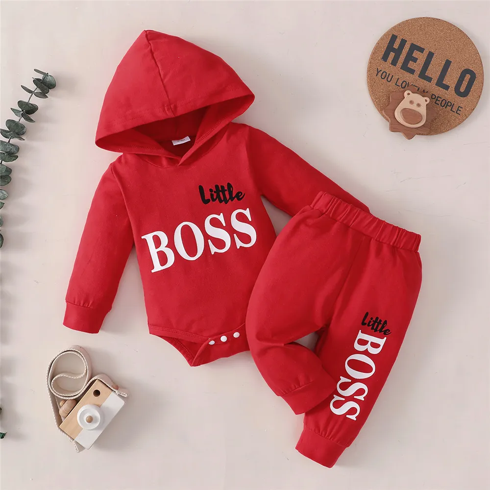 Spring 0-24 Months Newborn Baby Boy 2PCS Clothes Set Long Sleeve Hoodie Jumpsuit Pants Toddler Boy Outfit Baby Costume