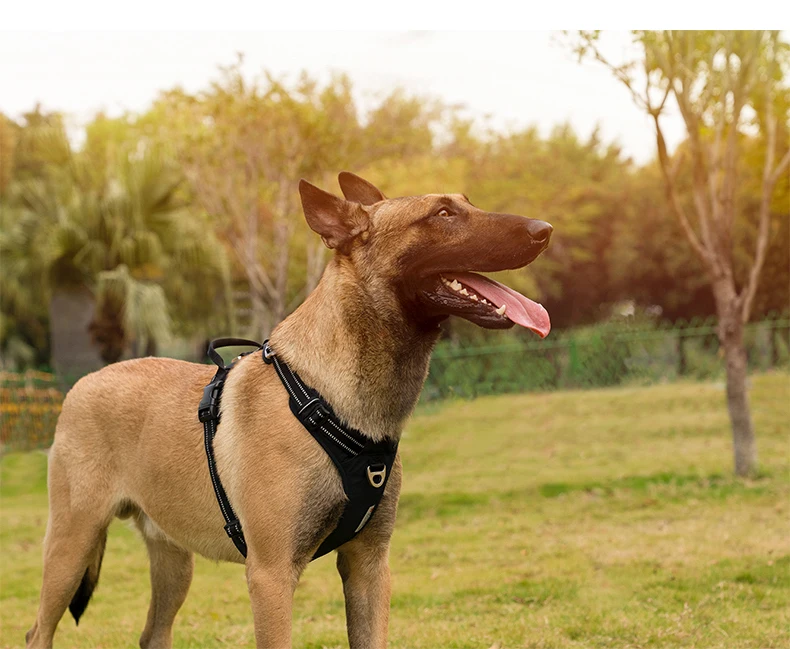 TRUE LOVE Pet Harness No Pull Nylon Reflective Dog Harness Adjustable Comfortable Control Step-in Brilliant Truelove TLH5654