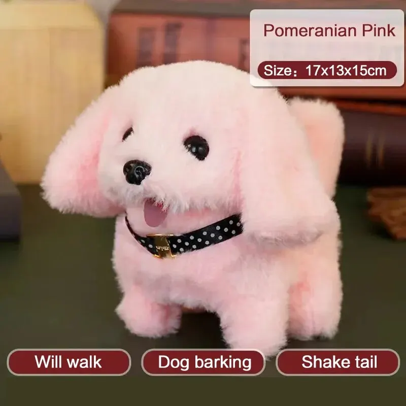 Pomeranian