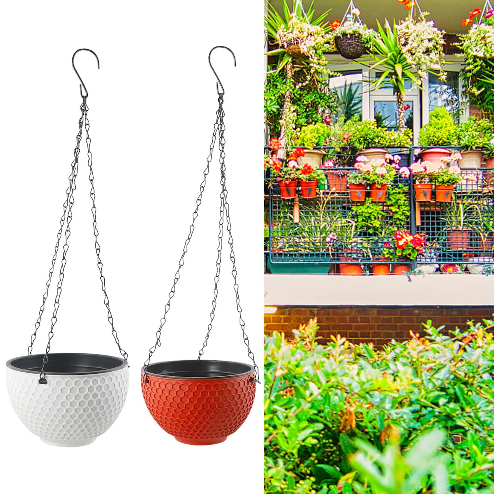 Hanging Baskets Hanging Baskets